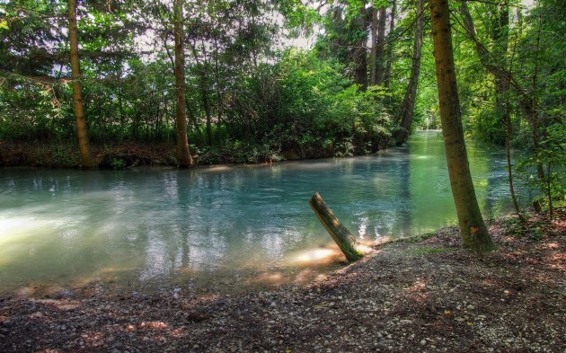 forest-small-river